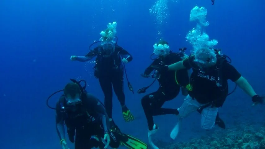Brian Vinci scuba diving with a small group along a reef
